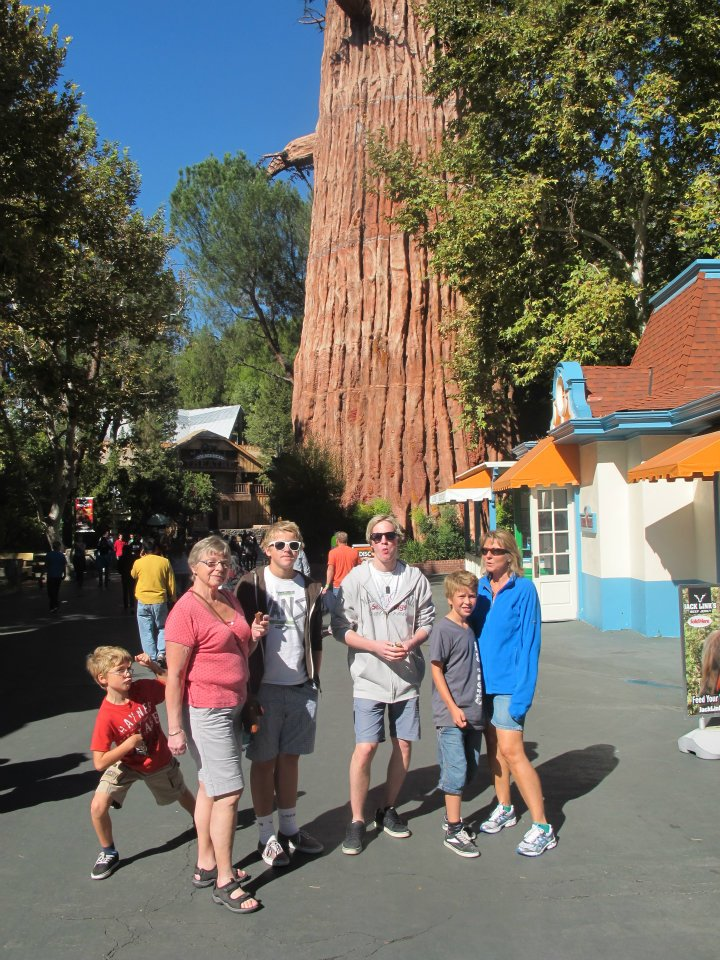 Familien foran et stort tre på Six Flags