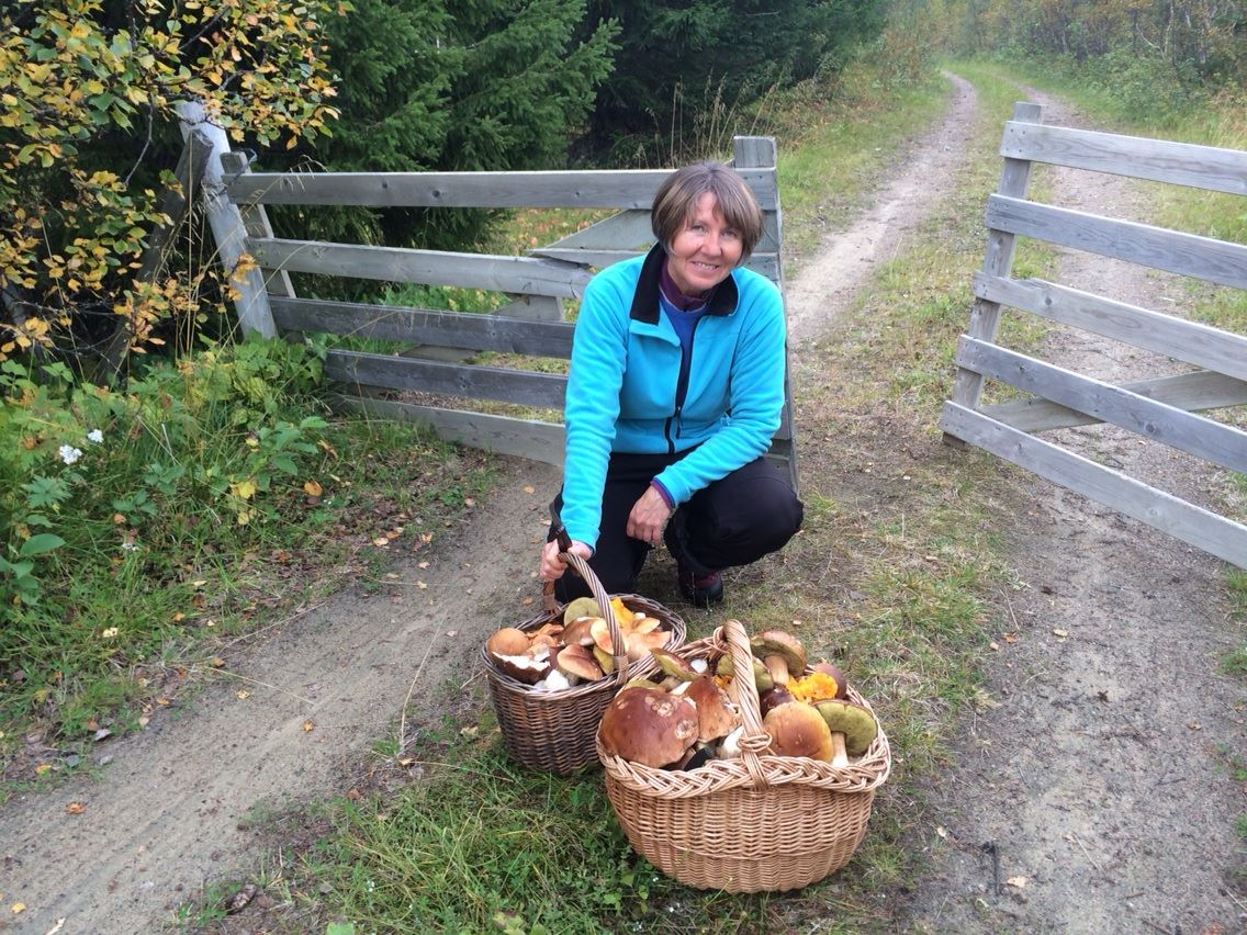 Helen sitter på huk med to fulle kurver med sopp på en grusvei i høstskogen